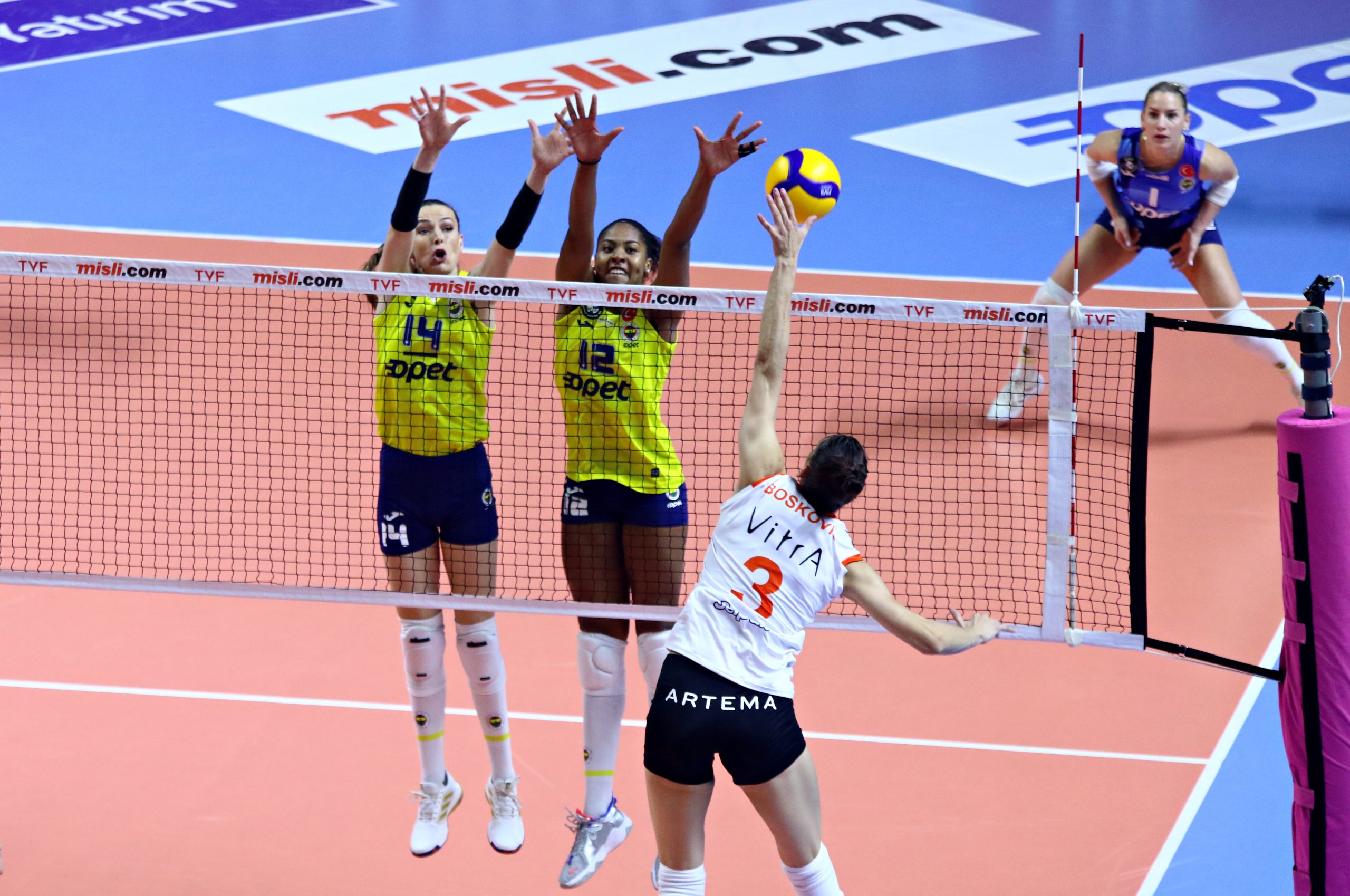 fenerbahce-opet-eczacibasi-dynavit-2-scaled-1